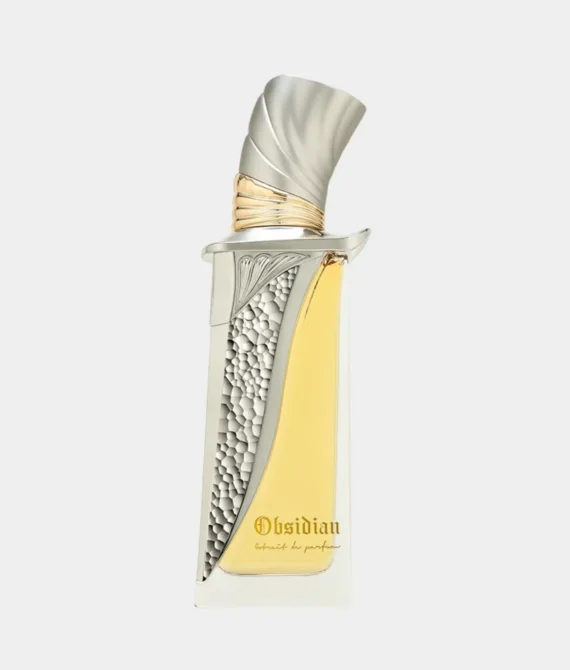 Obsidian Perfume By French Avenue 100ML