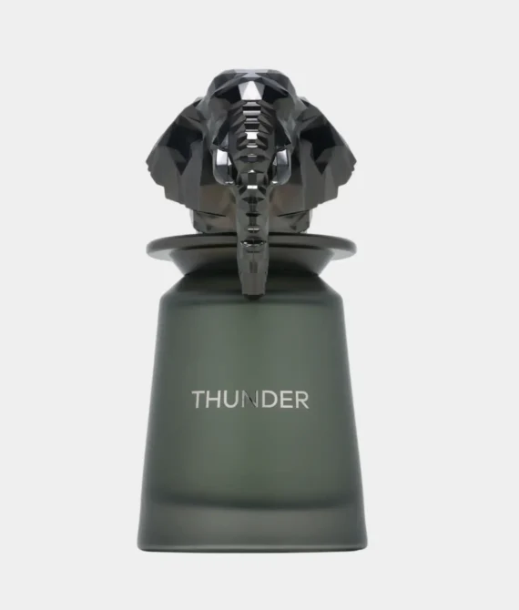 Thunder Perfume By French Avenue 100ML