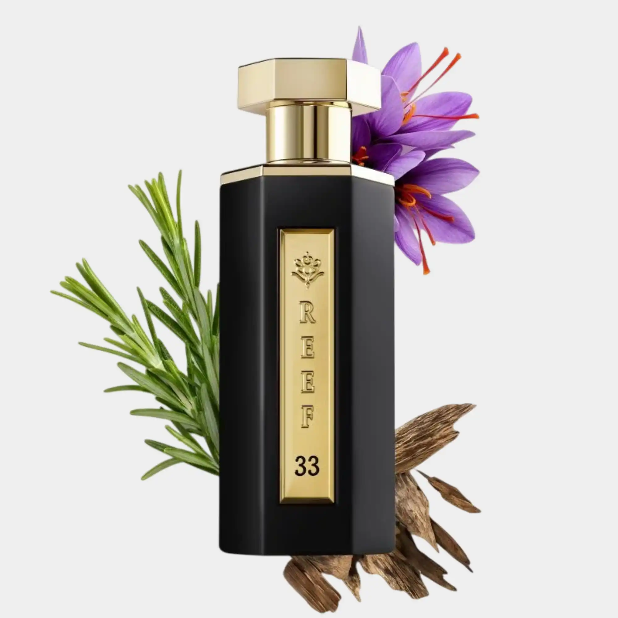 Reef 33 Black Perfume By Reef 100ML - Image 2